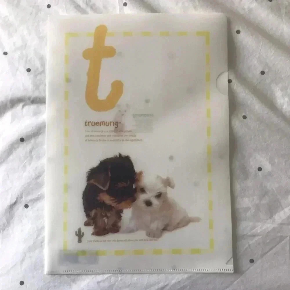 [Morning Glory] NWOT Cute Puppies Clear Folder